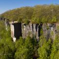 Niagara Escarpment on Manitoulin Island forming part of the Cup and Saucer. Photo by Mark Zelinski. 