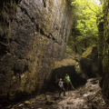 Nottawasaga Bluffs Conservation Area. Photo by MarkZelinski.com