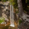 Eugenia Falls. Photo by Mark Zelinski.