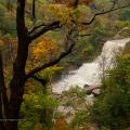 Albion Falls, Red Hill Creek. Photo by Mark Zelinski.